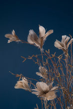 Ladda upp bild till gallerivisning, A Lot Decoration Påskfjädrar Mullvad