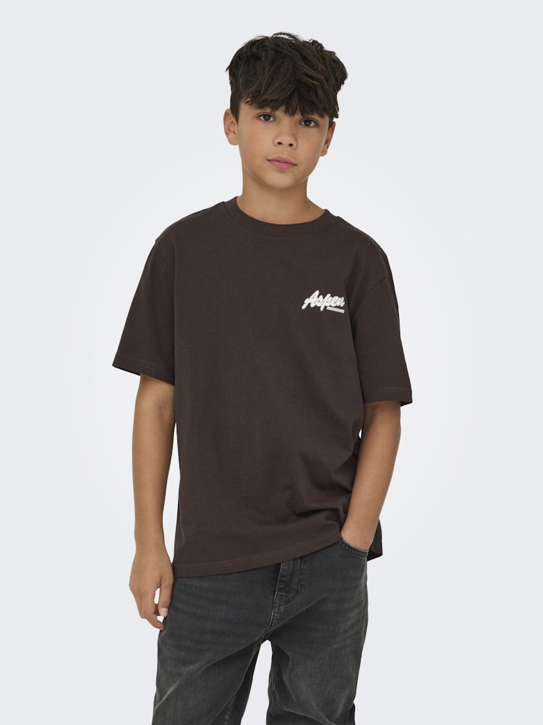 Only & Sons Junior OSJLARRY T-shirt Brun